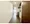 Prele Duc Nishiarai II - Interior - [] thumbnail