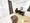 Escort Todai-Mae - Interior - ["Furniture", "Interior design", "Flooring"] thumbnail