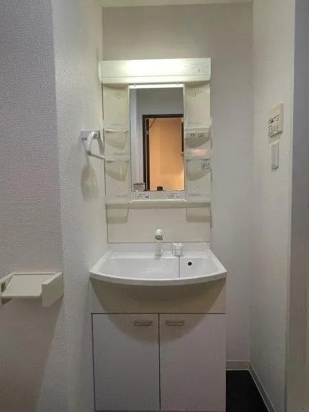 Wendy Ryogoku - Interior - ["Bathroom Sink", "Plumbing fixture", "Flooring"]