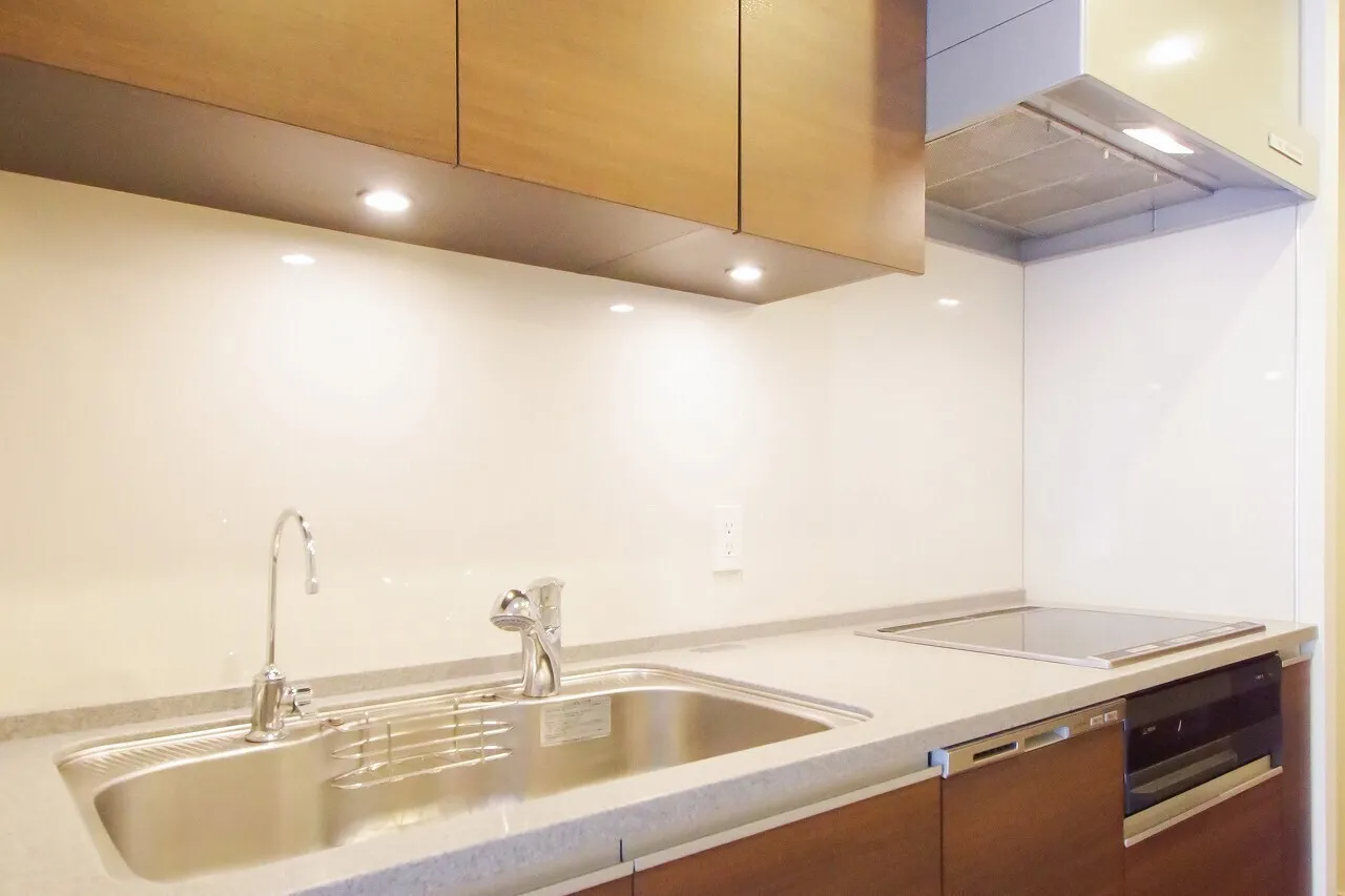 Central Park Tower La Tour Shinjuku - Interior - ["Kitchen", "Kitchen Sink", "Countertop"]