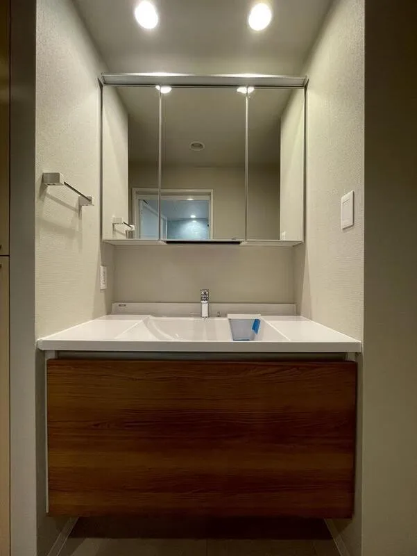 Canvas Itabashi - Interior - ["Bathroom Sink", "Flooring", "Bathroom cabinet"]
