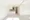 Comforia Liv Bunkyo Gokokuji - Interior - ["Flooring", "Floor", "Wood"] thumbnail
