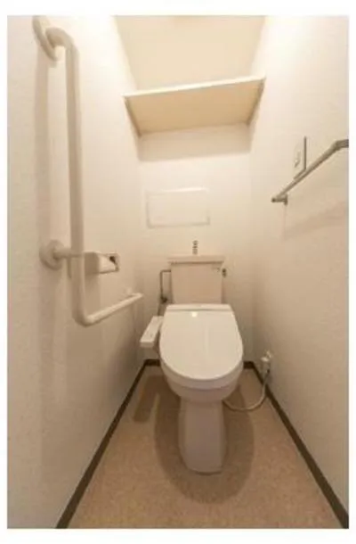 Verde Musashino - Interior - ["Flooring", "Toilet seat", "Plumbing fixture"]