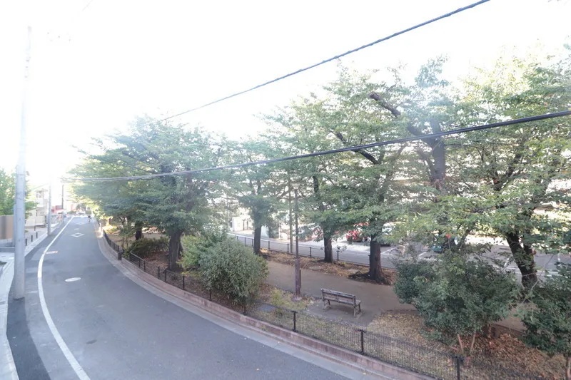 GranDuo Kyodo 15 - Interior - ["Road surface", "Branch", "Road"]