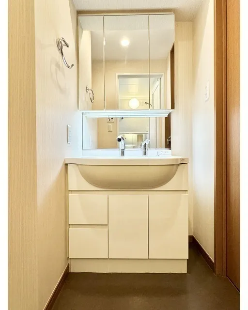 Rivere Ikebukuro - Interior - ["Bathroom Sink", "Plumbing fixture", "Flooring"]
