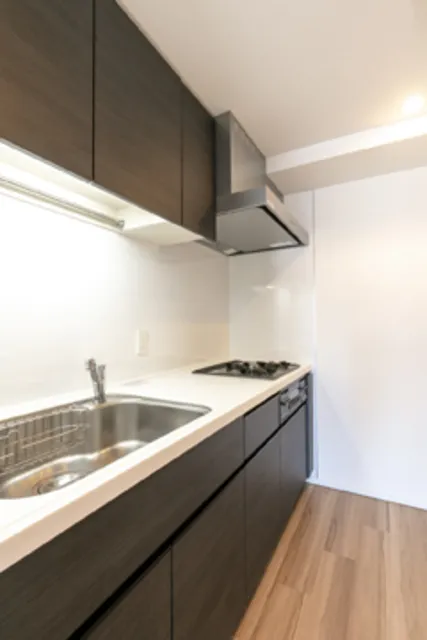 Park Axis Ebisu - Interior - ["Kitchen sink", "Property", "Countertop"]