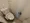 Regaland Meguro - Interior - ["Toilet seat", "Plumbing fixture", "Toilet"] thumbnail