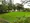 New City Higashi Totsuka East Building 4 Room 1203 thumbnail