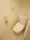 Doue Shinkawa - Interior - ["Toilet seat", "Toilet", "Bathroom"] thumbnail
