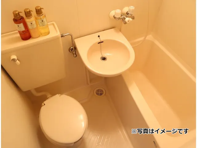 Shinkoenji Daikan Plaza City - Interior - ["Plumbing fixture", "Bathroom", "Plumbing"]