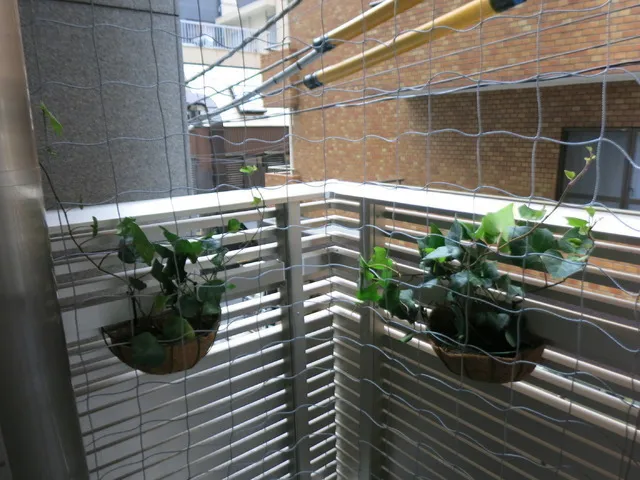 Laurier Ginza - Interior - ["Plant", "Property", "Flowerpot"]