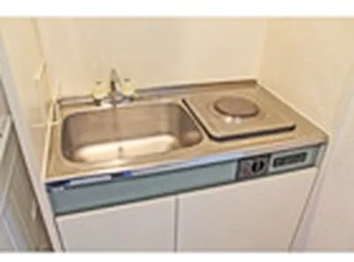 Pleir Ogikubo - Interior - ["Plumbing fixture", "Sink", "Kitchen Sink"]