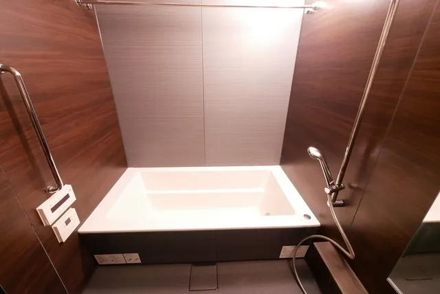 Comforia Shinjuku East Side Tower - Interior - ["Light", "Property", "Room"]