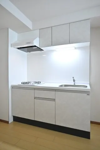 CENTRAL GARDEN RESIDENCE TOKYO - Interior - ["Kitchen", "Countertop", "Major appliance"]