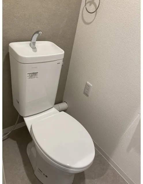Maison De Loire - Interior - ["Plumbing fixture", "Toilet seat", "Plumbing"]