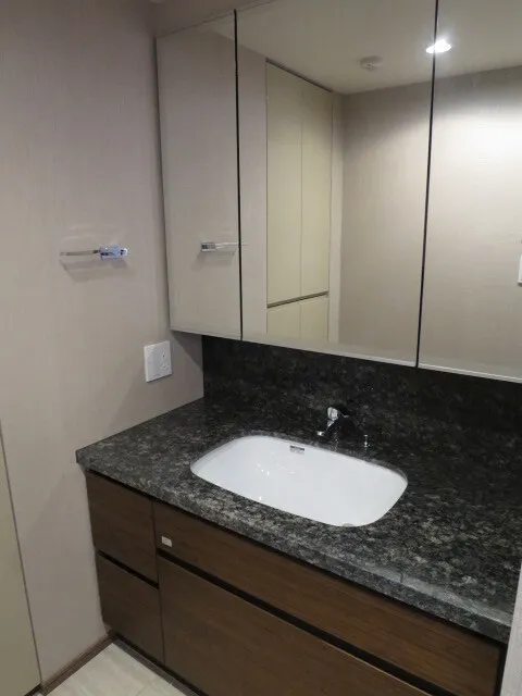 The Jingumae Residence - Interior - ["Mirror", "Tap", "Sink"]