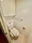 Residia Nishi Azabu - Interior - ["Toilet", "Bathroom", "Floor"] thumbnail
