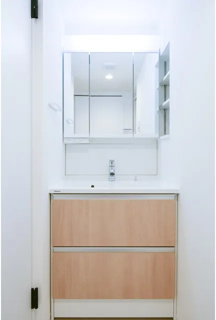 LeFont Progre Reno Ginza EAST - Interior - ["Cabinetry", "Flooring", "Bathroom cabinet"]