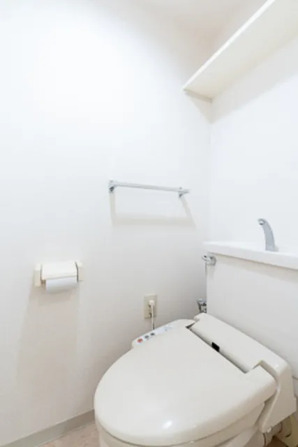 Dwell Riverside Ojima - Interior - ["Toilet seat", "Plumbing fixture", "Bathroom"]