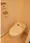 Plair Duc Ginza East III - Interior - ["Toilet seat", "Toilet", "Plumbing fixture"] thumbnail