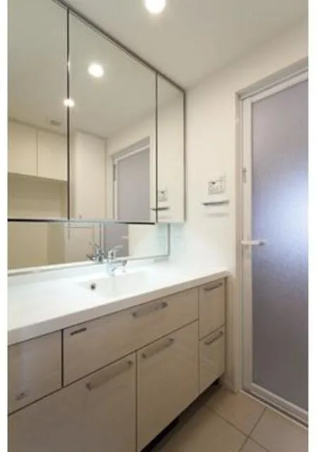 Revista Shirokane-Takanawa - Interior - ["Bathroom Sink", "Bathroom cabinet", "Flooring"]