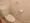 Comforia Ginza East - Interior - ["Toilet seat", "Toilet", "Plumbing fixture"] thumbnail