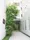Park Cube Ginza East - Exterior - Building entrance thumbnail