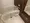 Doue Ryogoku III - Interior - ["Plumbing fixture", "Flooring", "Floor"] thumbnail