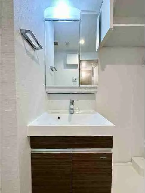 Gran Casa Ueno Matsugaya - Interior - ["Bathroom cabinet", "Plumbing fixture", "Flooring"]