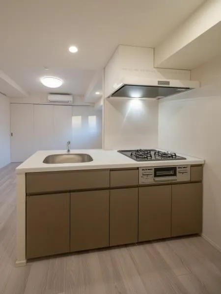 Brillia Ist Asakusa - Interior - ["Flooring", "Interior design", "Floor"]