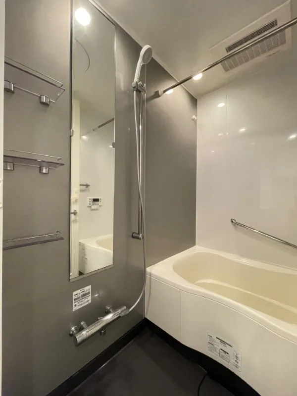 Residia Shin Okachimachi - Interior - ["Bathroom", "Plumbing fixture", "Flooring"]