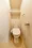 Cerio Ochiai Higashi-Nakano - Interior - ["Toilet seat", "Bathroom", "Toilet"] thumbnail