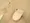KDX Residence Shinagawa Seaside - Interior - ["Toilet", "Bathroom", "Household supply"] thumbnail