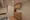 Park Court Yoyogi Hatsudai - Interior - ["Flooring", "Wood", "Cabinetry"] thumbnail