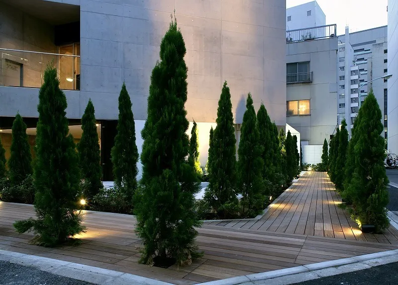 Arden Shiba Park - Exterior - ["Urban design", "Condominium", "Conifers"]