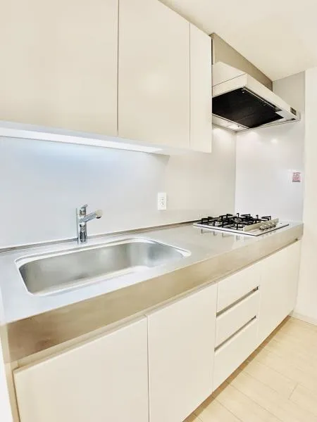 Brillia Ist Kitazawa - Interior - ["Brown", "Tap", "Kitchen sink"]