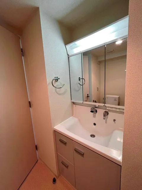 Park Axis Moto-Asakusa Stage - Interior - ["Plumbing fixture", "Bathroom Sink", "Sink"]