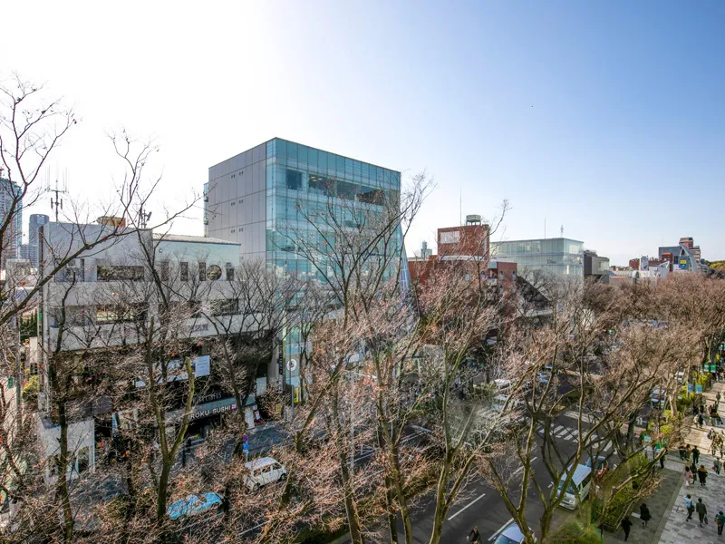 Omotesando Hills Zelkova Terrace - Exterior - ["Urban area", "Metropolitan area", "City"]