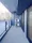 Brookside Residence Kiba - Interior - ["Composite material", "Glass", "Apartment"] thumbnail