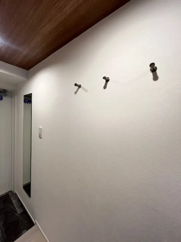 Residia Minamisenju - Interior - ["Wall", "Ceiling", "Light fixture"]