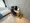 Mynavi STAY Twilight Hills Hatagaya - Interior - [] thumbnail