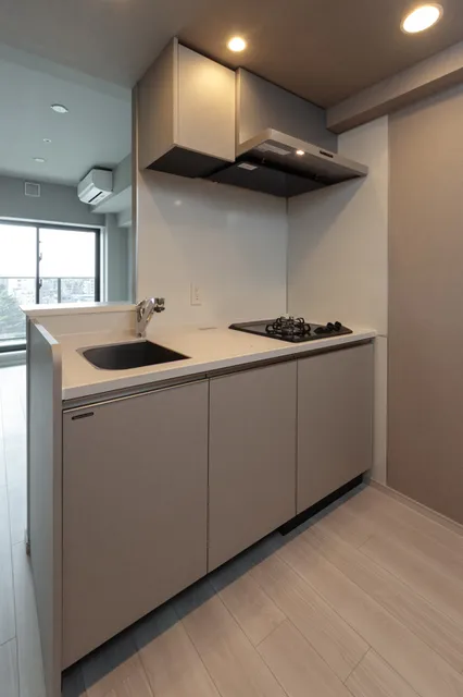 Terra Silk Forest - Interior - ["Floor", "Apartment", "Kitchen"]