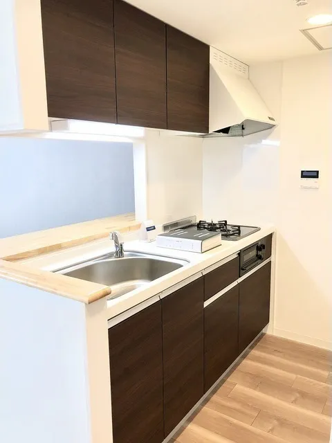 NTPR Residence Oimachi - Interior - ["Tap", "Kitchen sink", "Cabinetry"]