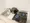 Toggle Otsuka Lerion - Interior - [] thumbnail
