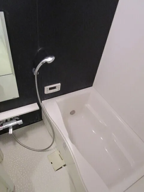 Sunshine Matsumoto No.17 - Interior - ["Plumbing fixture", "Rectangle", "Bathtub"]