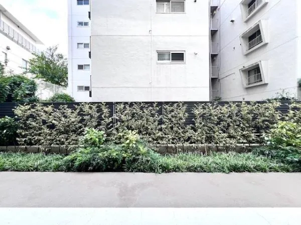 Brillia Ist Shibuya Honmachi - Interior - ["Shrub", "Groundcover", "Shade"]