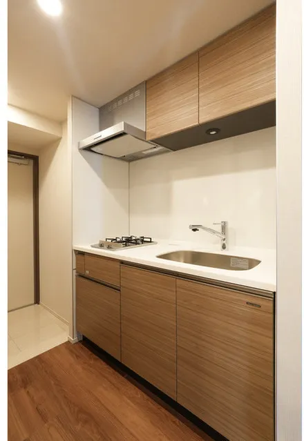 La Tierra Otorii - Interior - ["Wood flooring", "Laminate flooring"]
