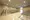 Delux Tabata - Other - ["Flooring", "Floor", "Ceiling"] thumbnail