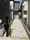 1-24-31 Daimachi, Hachioji City, Tokyo - Exterior - ["Composite material", "Concrete", "Sidewalk"] thumbnail