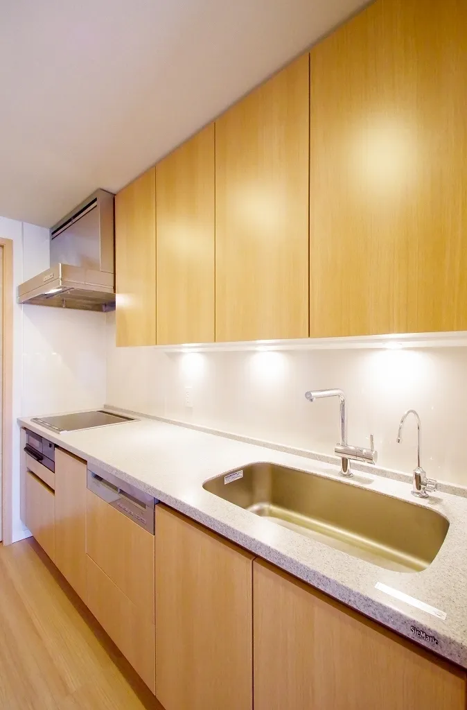 Central Park Tower La Tour Shinjuku - Interior - ["Countertop", "Property", "Room"]